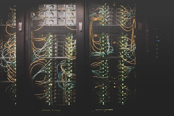 Network connections representing link building